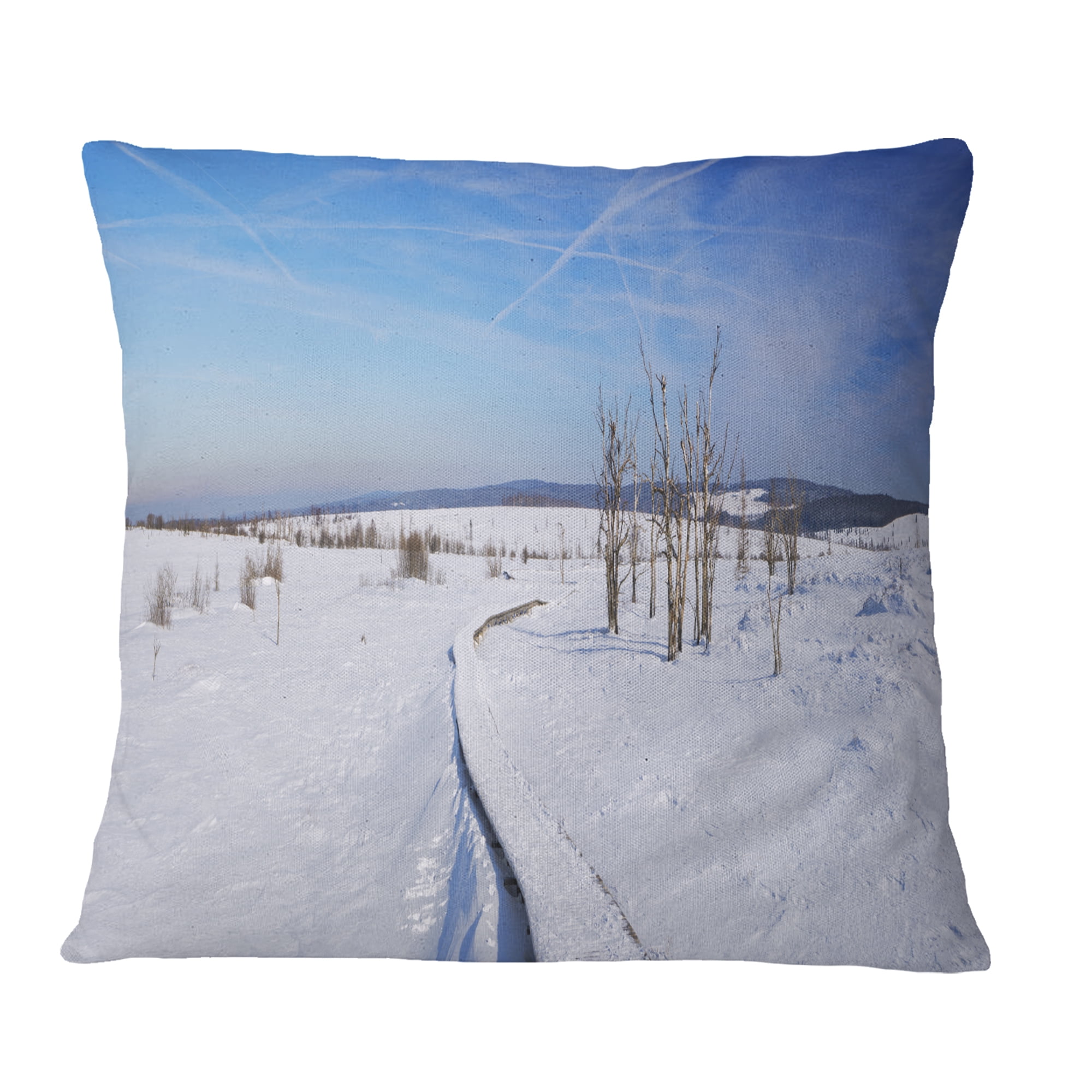 Designart Hautes Fagnes in Belgium Panorama - Modern Seashore Throw Pillow - 16x16