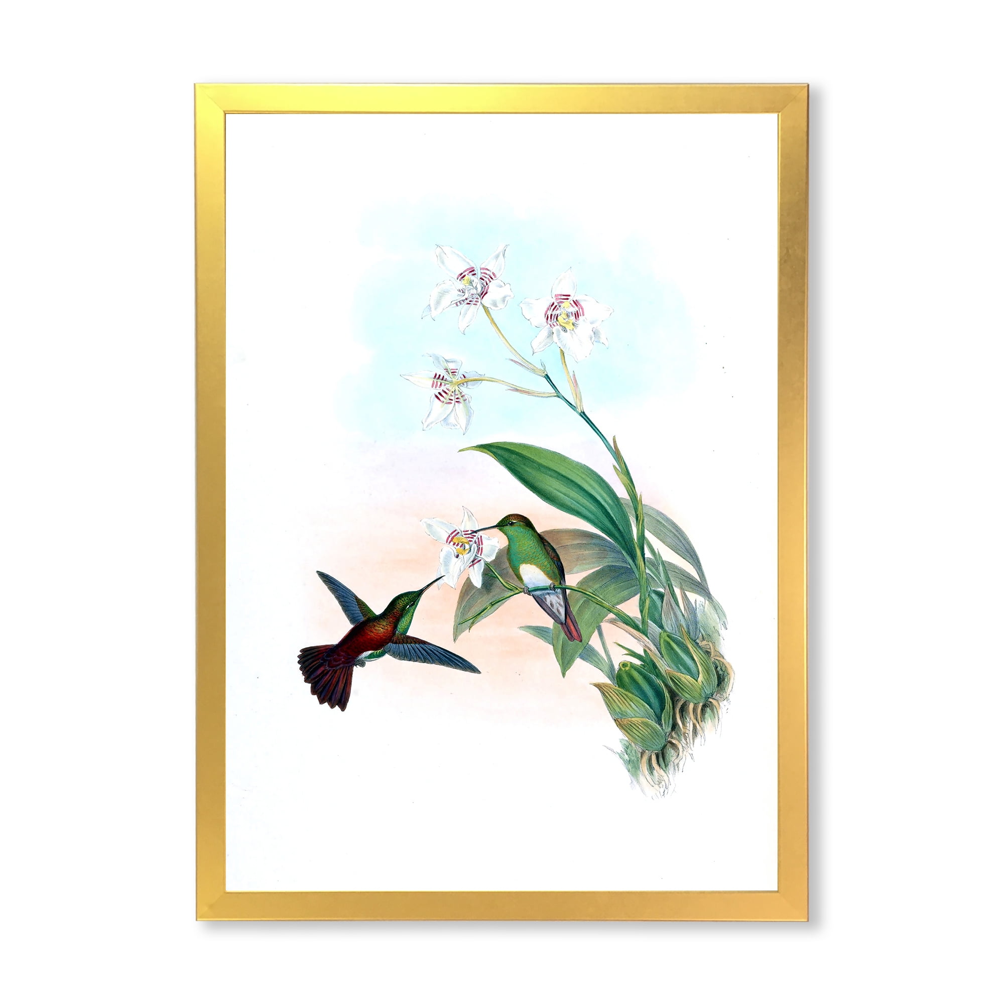 Designart 'Historic Hummingbird Flying To A Flower' Traditional Framed Art Print