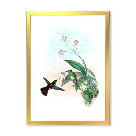 Designart 'Historic Hummingbird Flying To A Flower' Traditional Framed Art Print