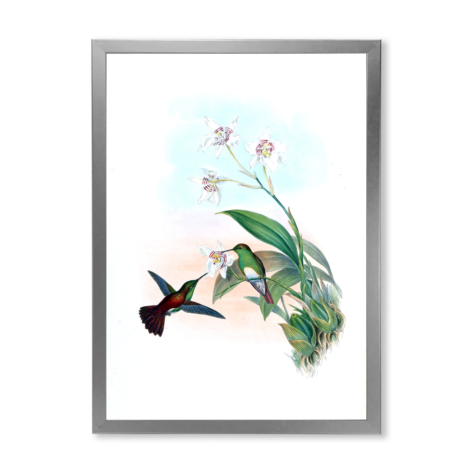 Designart 'Historic Hummingbird Flying To A Flower' Traditional Framed Art Print