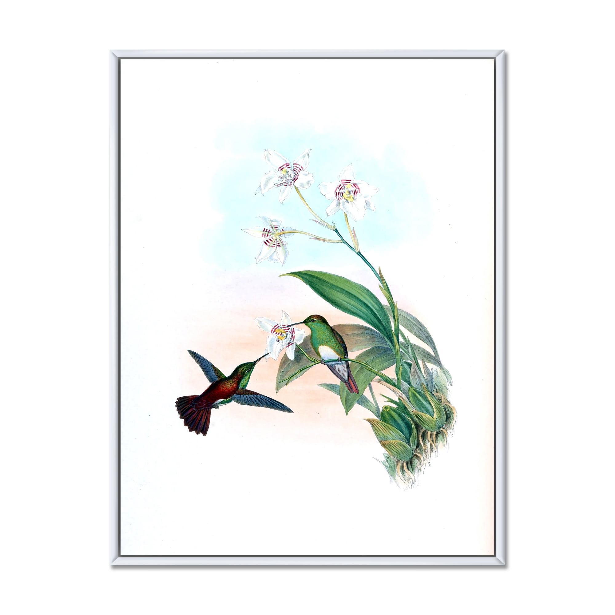 Designart 'Historic Hummingbird Flying To A Flower' Traditional Framed Canvas Wall Art Print