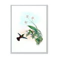 thumbnail image 1 of Designart 'Historic Hummingbird Flying To A Flower' Traditional Framed Canvas Wall Art Print, 1 of 5
