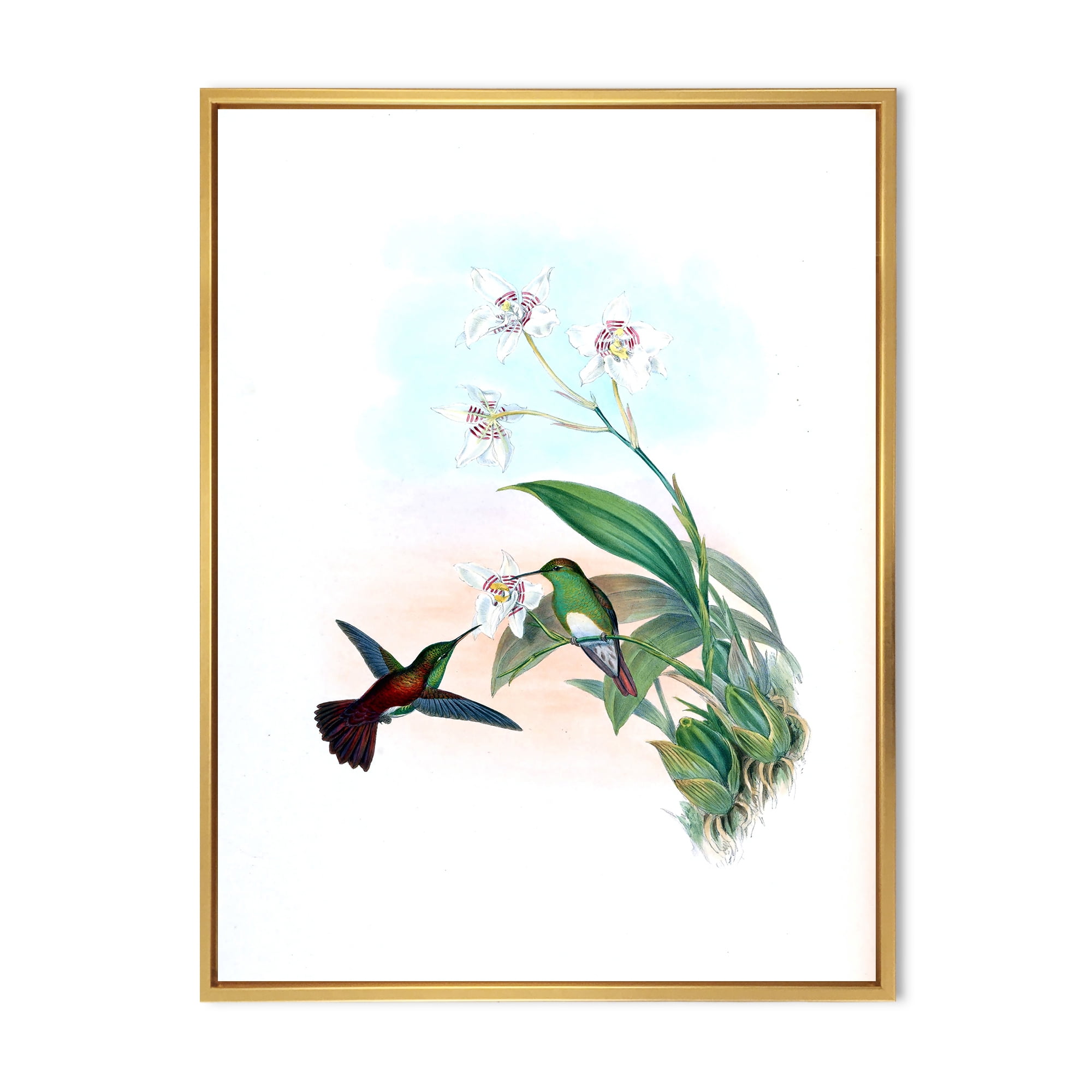 Designart 'Historic Hummingbird Flying To A Flower' Traditional Framed Canvas Wall Art Print