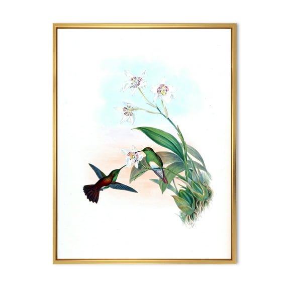 Designart 'Historic Hummingbird Flying To A Flower' Traditional Framed Canvas Wall Art Print