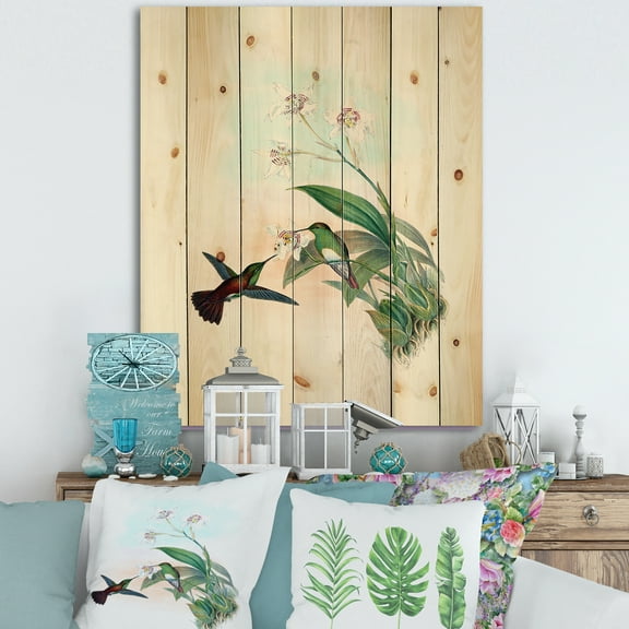 Designart 'Historic Hummingbird Flying To A Flower' Traditional Print on Natural Pine Wood