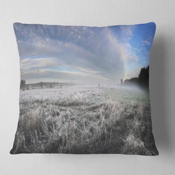 Designart Hoarfrost on Grass under Cloudy Sky - Landscape Printed Throw Pillow - 16x16