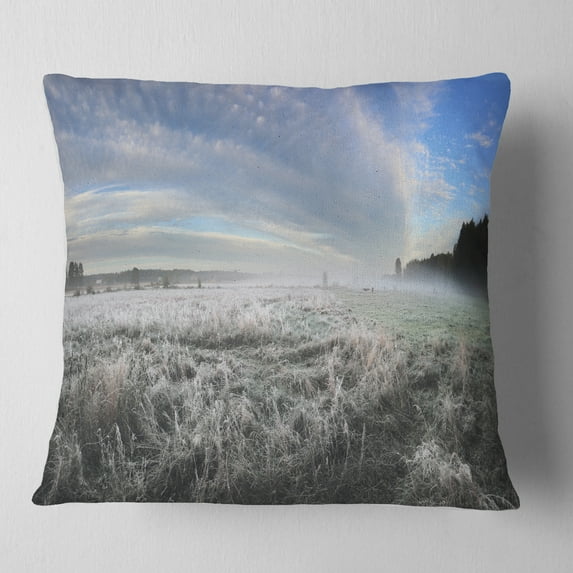 Designart Hoarfrost on Grass under Cloudy Sky - Landscape Printed Throw Pillow - 18x18