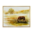 thumbnail image 1 of Designart 'Horse Eating Grass On A Meadow' Farmhouse Framed Canvas Wall Art Print, 1 of 5