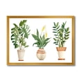 thumbnail image 1 of Designart 'Houseplant Peace Lily In Terra Cotta and Monstera' Farmhouse Framed Art Print, 1 of 4