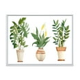 thumbnail image 1 of Designart 'Houseplant Peace Lily In Terra Cotta and Monstera' Farmhouse Framed Canvas Wall Art Print, 1 of 5