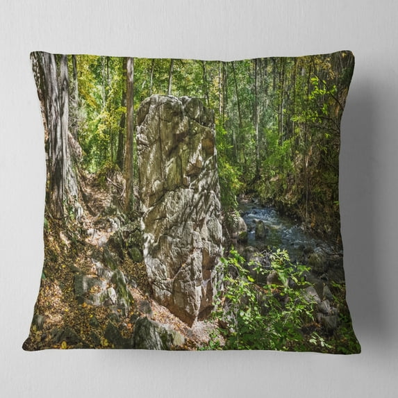 Designart Huge Rock in Black River Shore - Landscape Printed Throw Pillow - 16x16