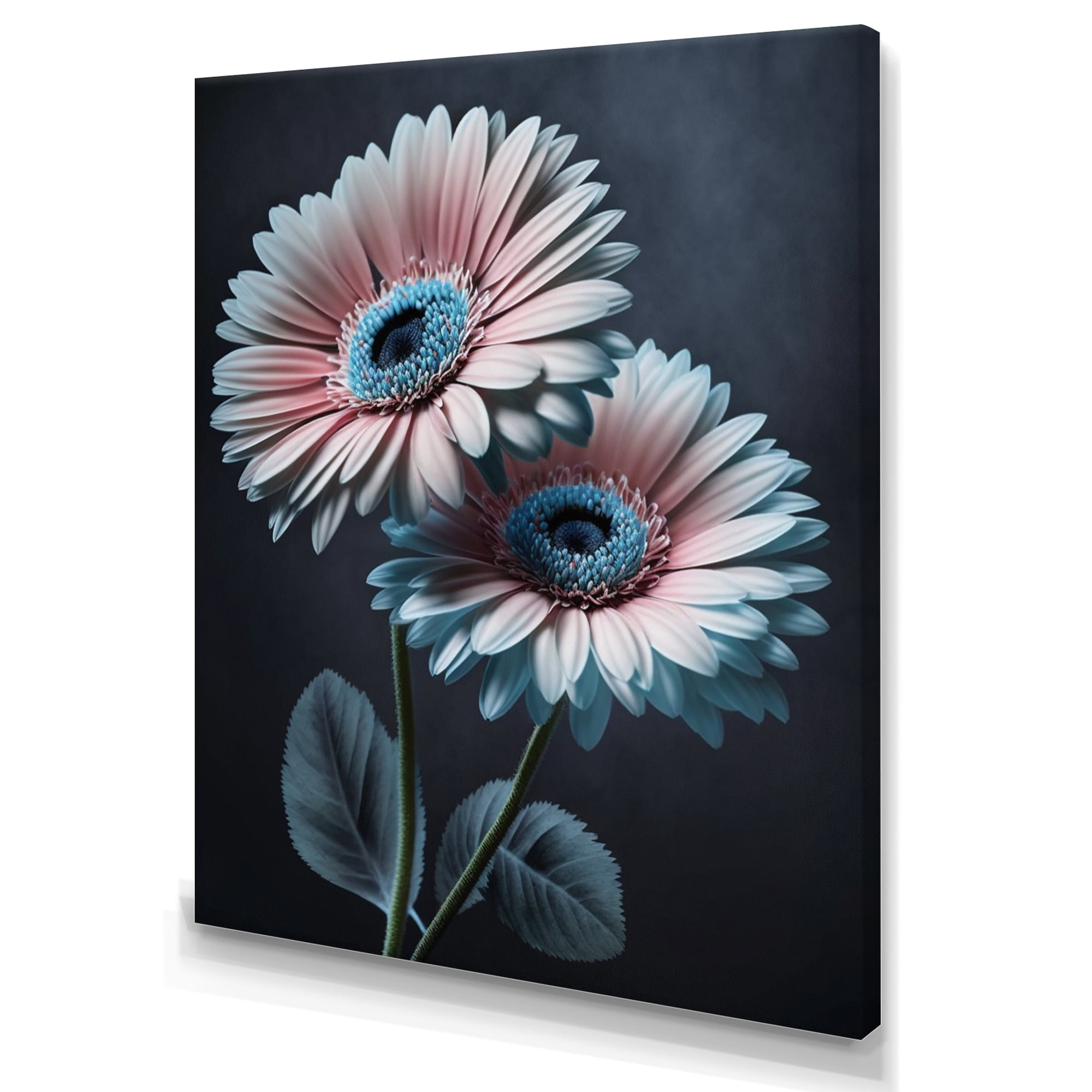 Designart Hyperrealistic Gerbera Pink And Blue Flowers II Canvas Wall Art