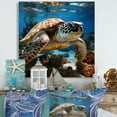thumbnail image 1 of Designart "Inquisitive Marine Turtle I" Animals Turtle Canvas Prints, 1 of 7