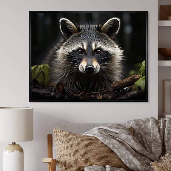 Designart "Inquisitive Raccoon II" Animals Floater Framed Wall Art Living Room