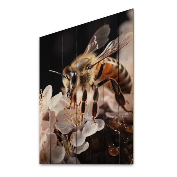 Designart "Insect Colorful Likeness" Animals Print on Natural Pine Wood
