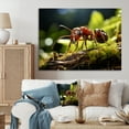 thumbnail image 1 of Designart "Insect Likeness" Animals Wall Decor, 1 of 5