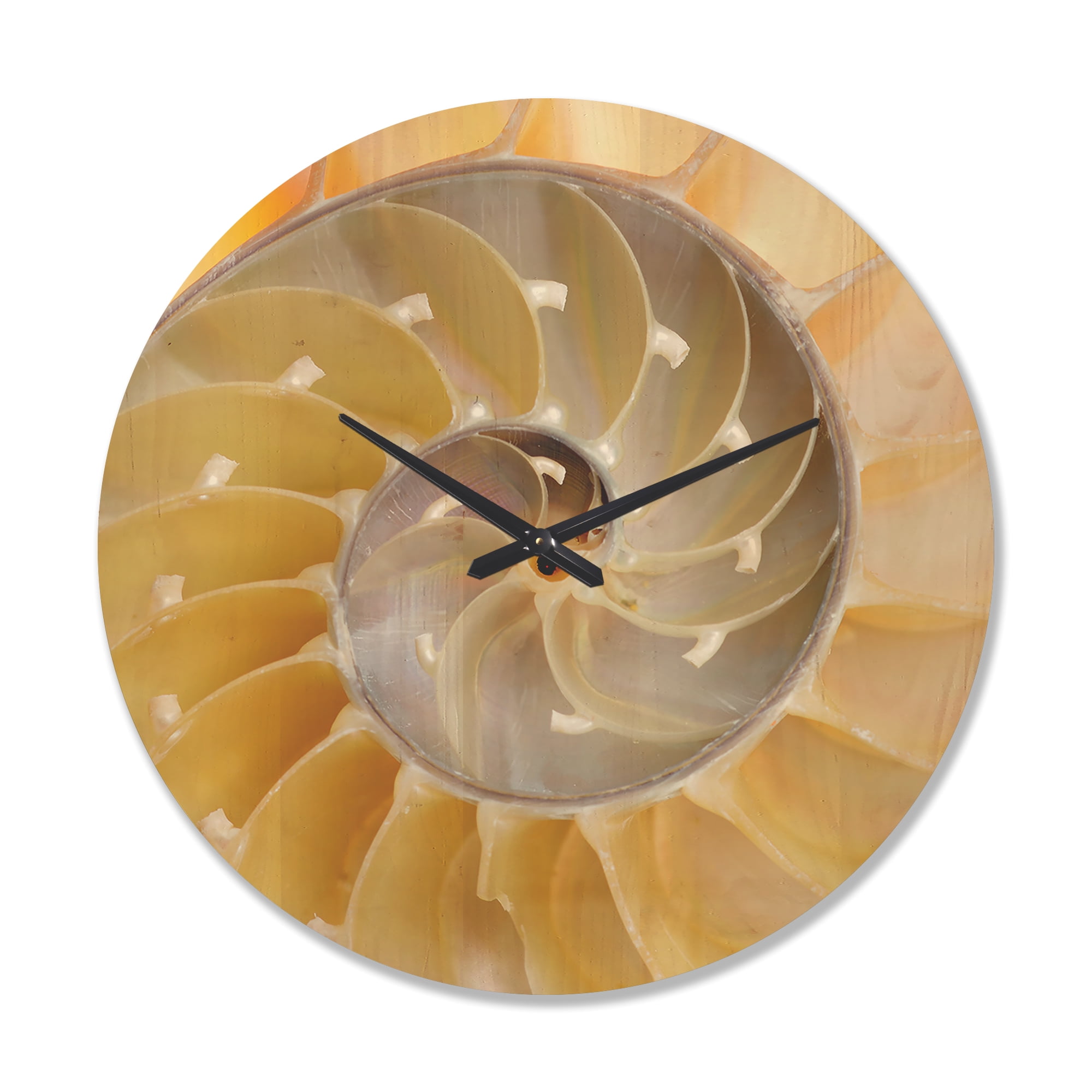 Designart 'Isolated Nautilus Sea Shell' Modern Wood Wall Clock