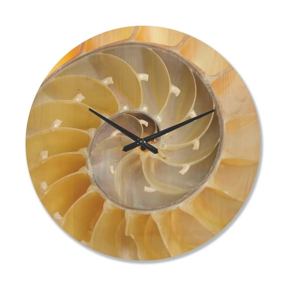 Designart 'Isolated Nautilus Sea Shell' Modern Wood Wall Clock