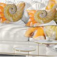 thumbnail image 1 of Designart Isolated Nautilus Shell - Contemporary Throw Pillow - 12x20, 1 of 5