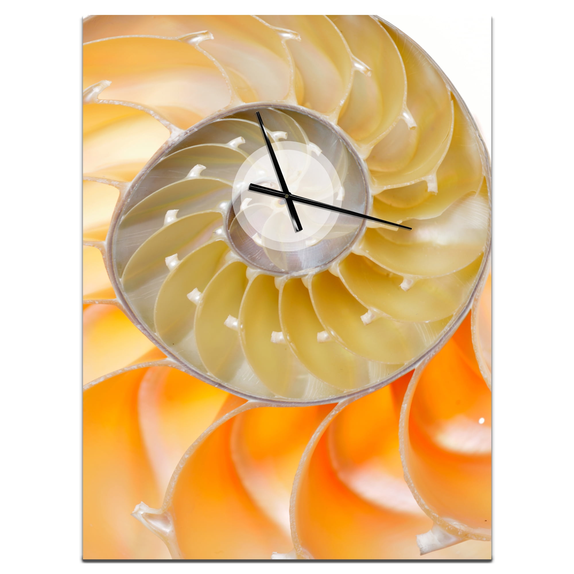 Designart 'Isolated Nautilus Shell' Modern wall clock