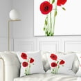 thumbnail image 1 of Designart Isolated Red Poppy Flowers - Floral Throw Pillow - 16x16, 1 of 5