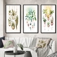 thumbnail image 1 of Designart "Joyful Hanging Boho Houseplants in Botanical Bliss II" Abstract Botanicals Framed Wall Art Set Of 3 - Green Modern Frame Gallery Wall Set For Home Decor, 1 of 6