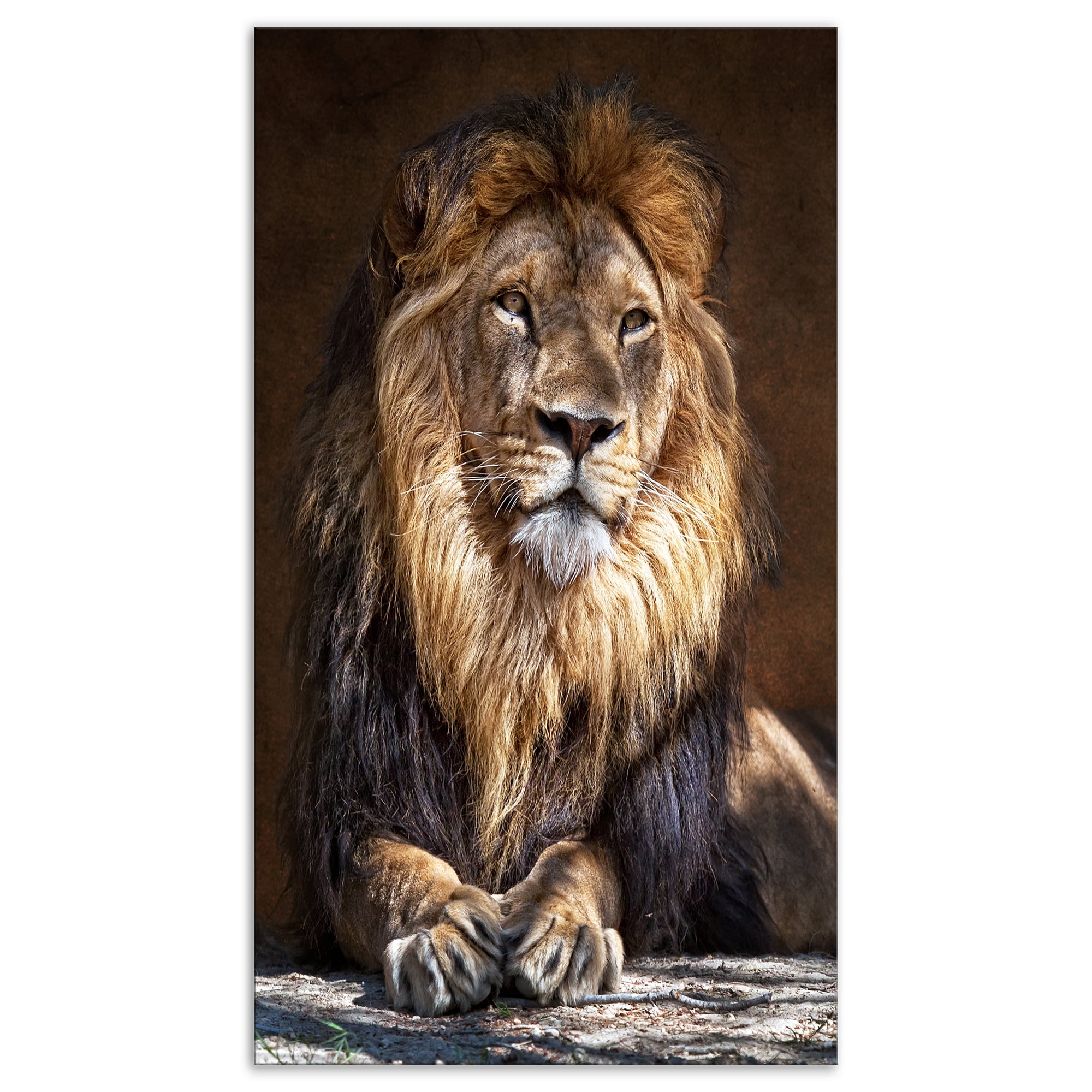 Designart 'King Lion with Lighted Face ' Animal Art Print On Canvas
