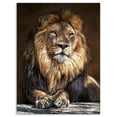 thumbnail image 1 of Designart 'King Lion with Lighted Face ' Animal Art Print On Canvas, 1 of 3