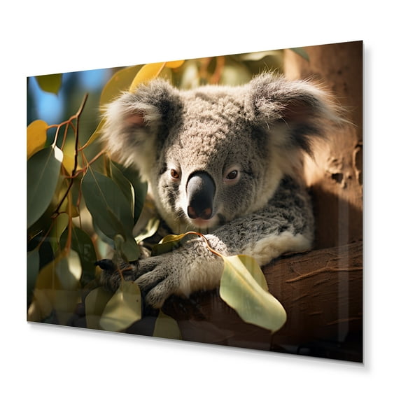 Designart "Koala Haven Australia painting II" Animals Metal Wall Art Prints