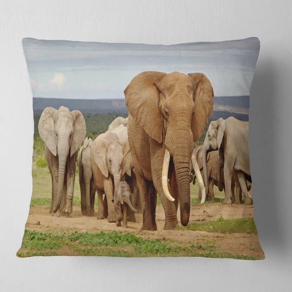 Designart Large Elephant Herd in Africa - African Throw Pillow - 18x18