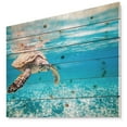thumbnail image 1 of Designart 'Large Hawksbill Sea Turtle ' Animal Print on Natural Pine Wood, 1 of 3