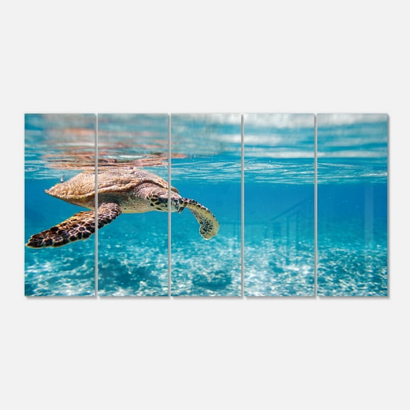 Designart 'Large Hawksbill Sea Turtle' Metal Wall Art