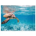 thumbnail image 1 of Designart 'Large Hawksbill Sea Turtle' Metal Wall Art, 1 of 3