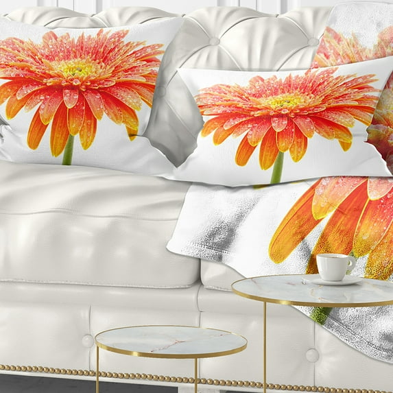 Designart Large Orange Gerbera on White - Floral Throw Pillow - 12x20