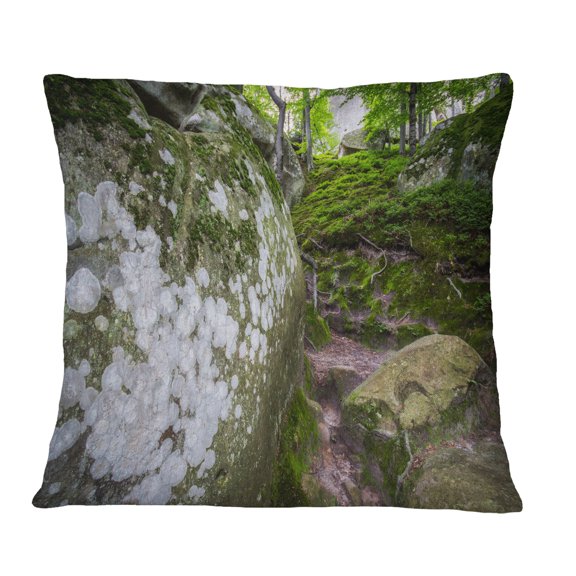Designart Large Rocks in Deep Moss Forest - Landscape Printed Throw Pillow - 16x16