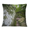 thumbnail image 1 of Designart Large Rocks in Deep Moss Forest - Landscape Printed Throw Pillow - 18x18, 1 of 1