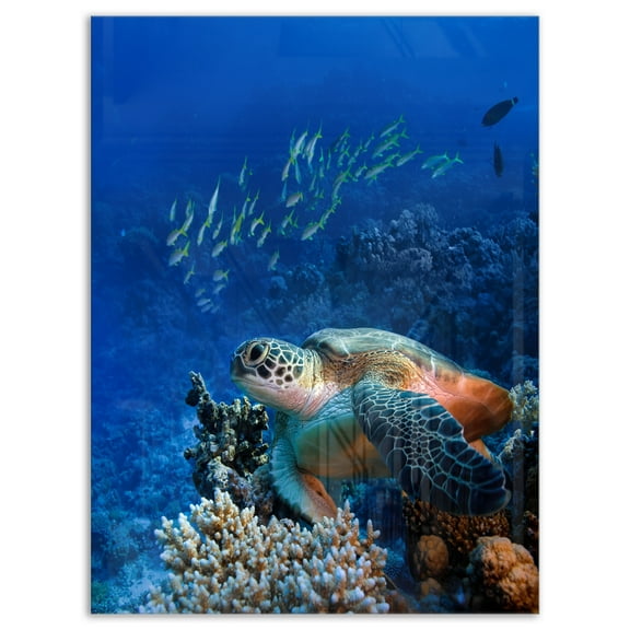 Designart 'Large Sea Turtle underwater ' Abstract Metal Wall Art
