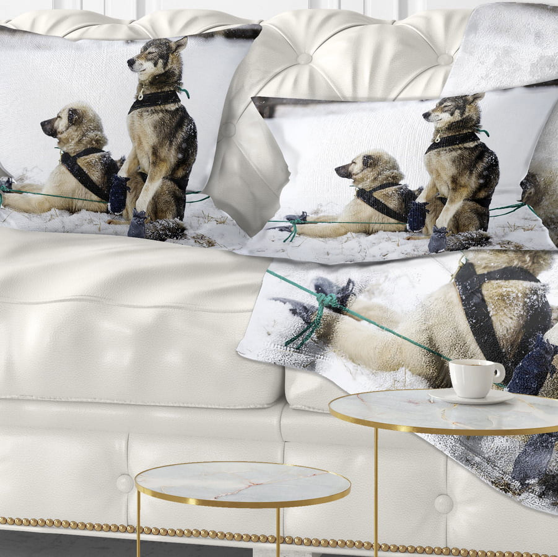 Designart Large Sled Dogs Relaxing - Animal Throw Pillow - 12x20