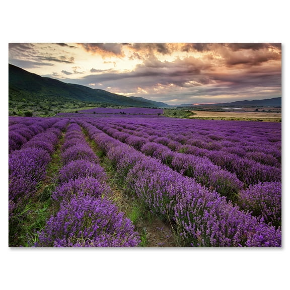 Designart ' Lavender Field At Sunrise I ' Farmhouse Canvas Wall Art Print