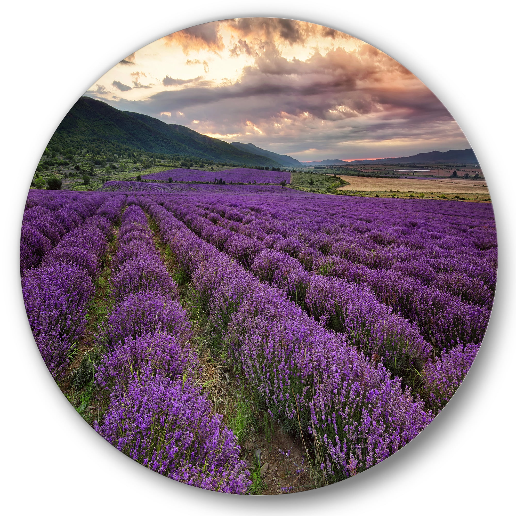 Designart 'Lavender Field At Sunrise I' Farmhouse Circle Metal Wall Art 36x36 - Disc of 36