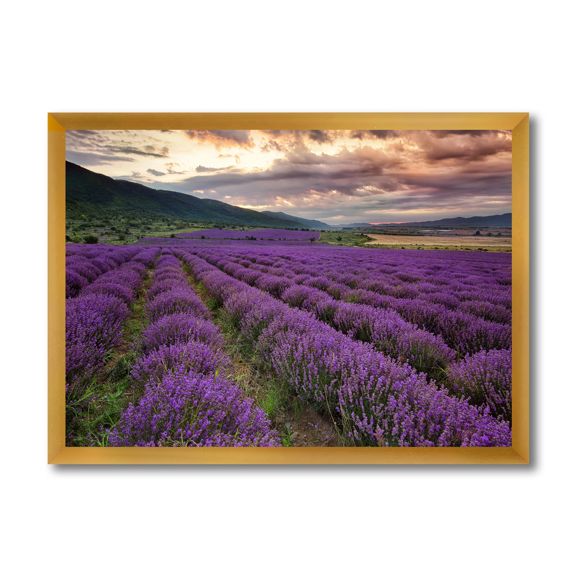 Designart 'Lavender Field At Sunrise I' Farmhouse Framed Art Print