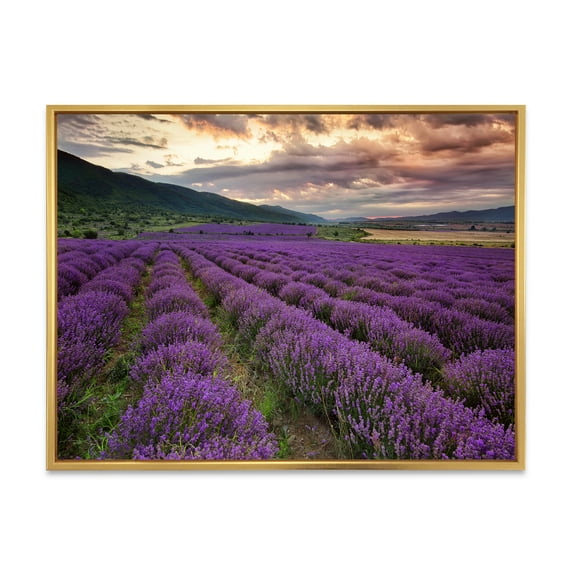 Designart 'Lavender Field At Sunrise I' Farmhouse Framed Canvas Wall Art Print