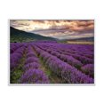 thumbnail image 1 of Designart 'Lavender Field At Sunrise I' Farmhouse Framed Canvas Wall Art Print, 1 of 5