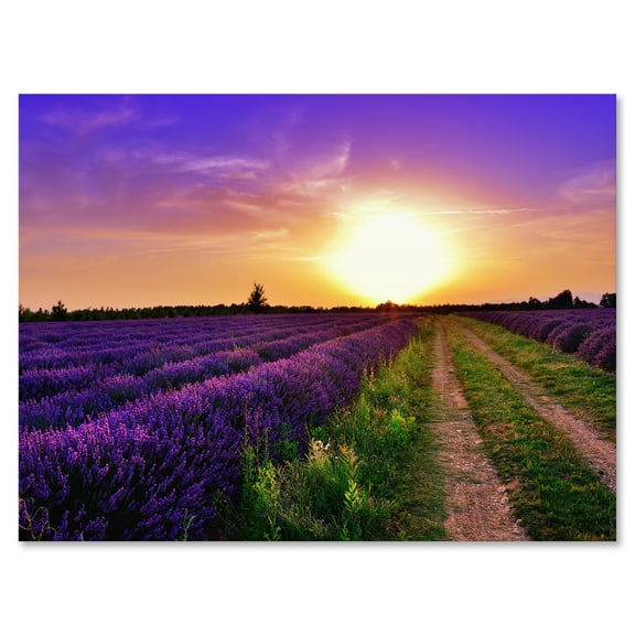 Designart ' Lavender Field At Sunrise II ' Farmhouse Canvas Wall Art Print
