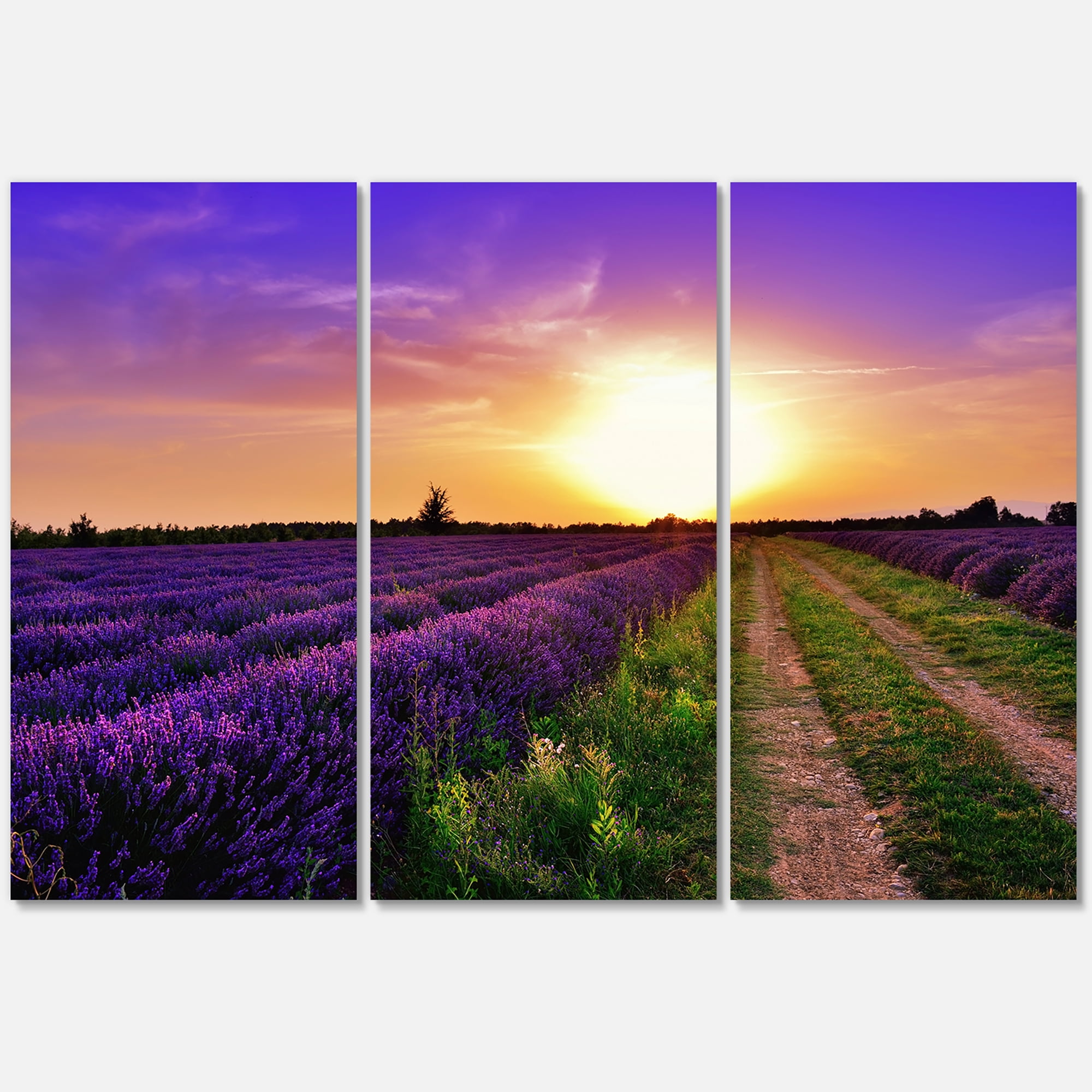 Designart ' Lavender Field At Sunrise II ' Farmhouse Canvas Wall Art Print