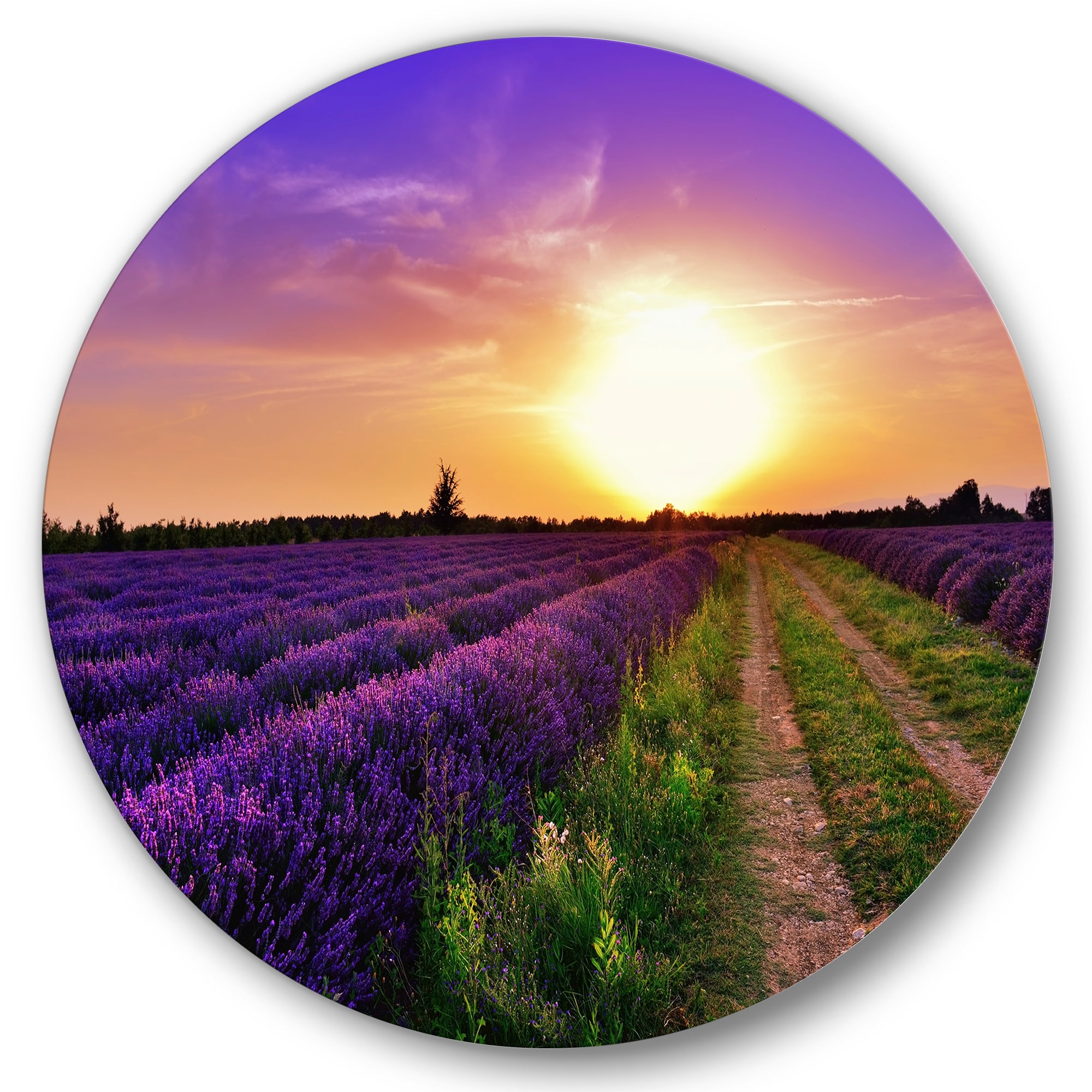 Designart 'Lavender Field At Sunrise II' Farmhouse Circle Metal Wall Art 11x11 - Disc of 11