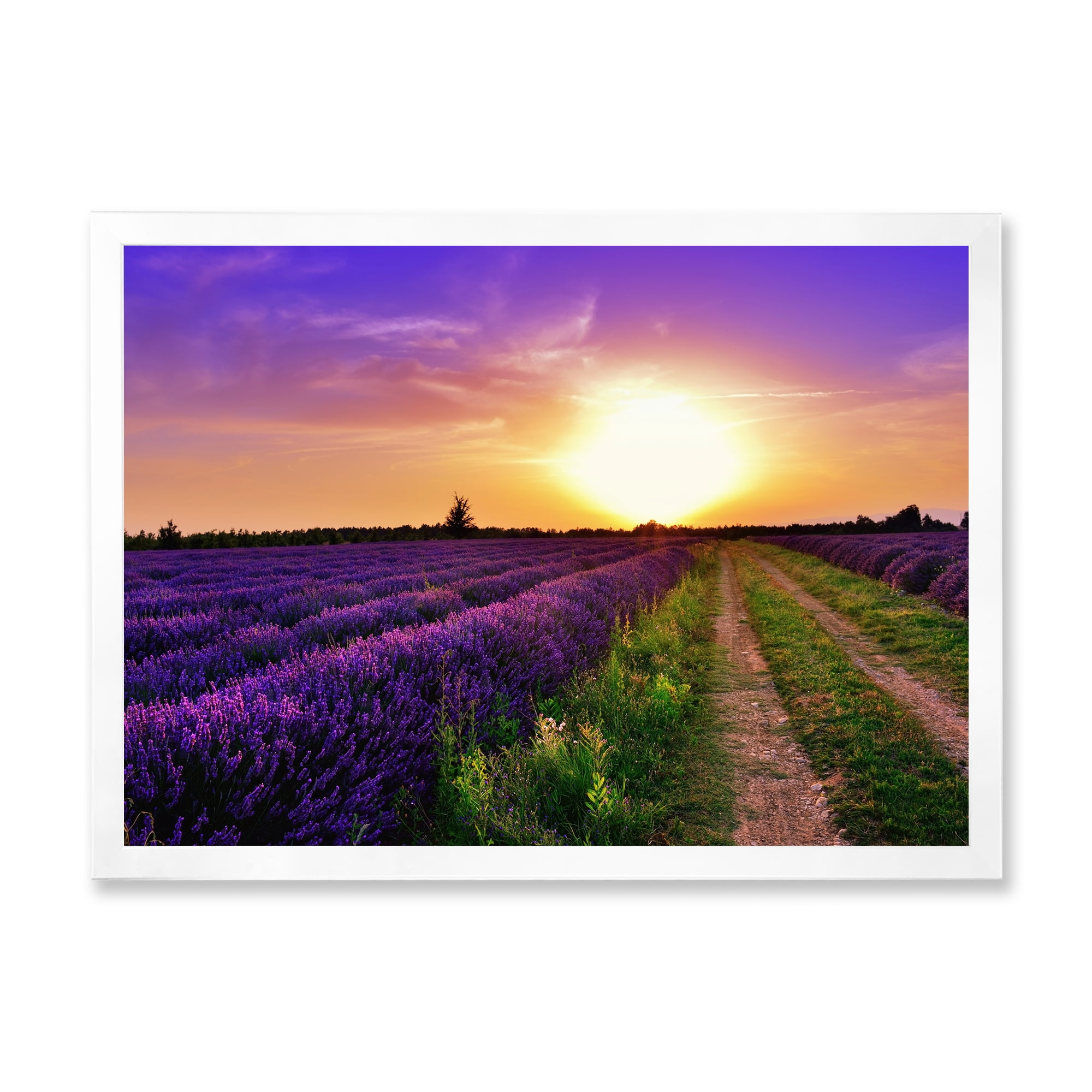 Designart 'Lavender Field At Sunrise II' Farmhouse Framed Art Print