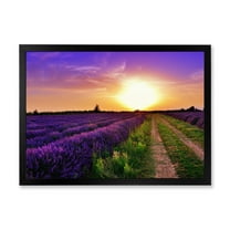 Designart 'Lavender Field At Sunrise II' Farmhouse Framed Art Print