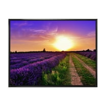 Designart 'Lavender Field At Sunrise II' Farmhouse Framed Canvas Wall Art Print