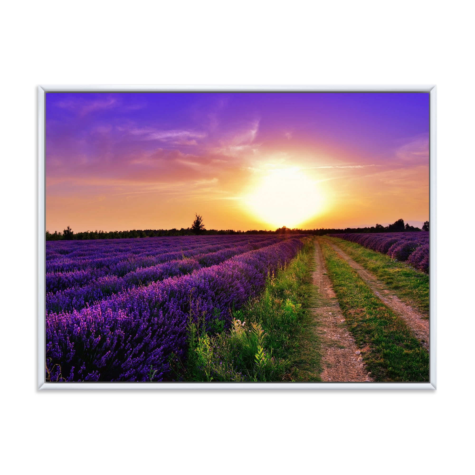 Designart 'Lavender Field At Sunrise II' Farmhouse Framed Canvas Wall Art Print
